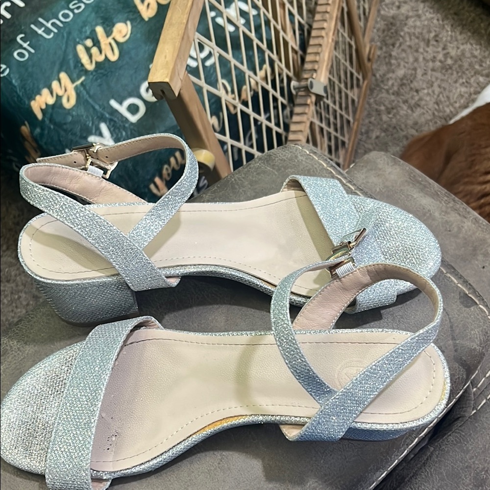 Elegant Silver Women's Sandals